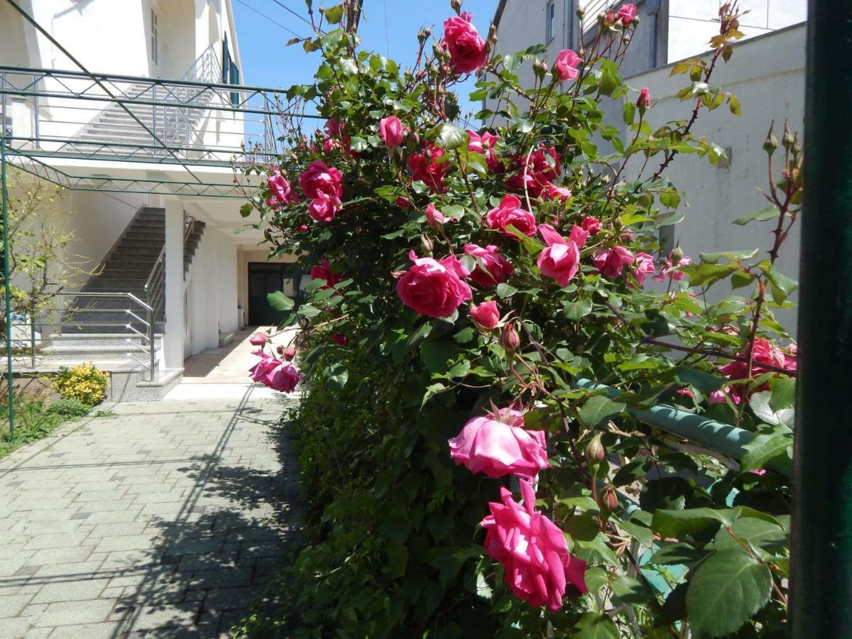 Lemon Tree Apartments ซาดาร์ ภายนอก รูปภาพ