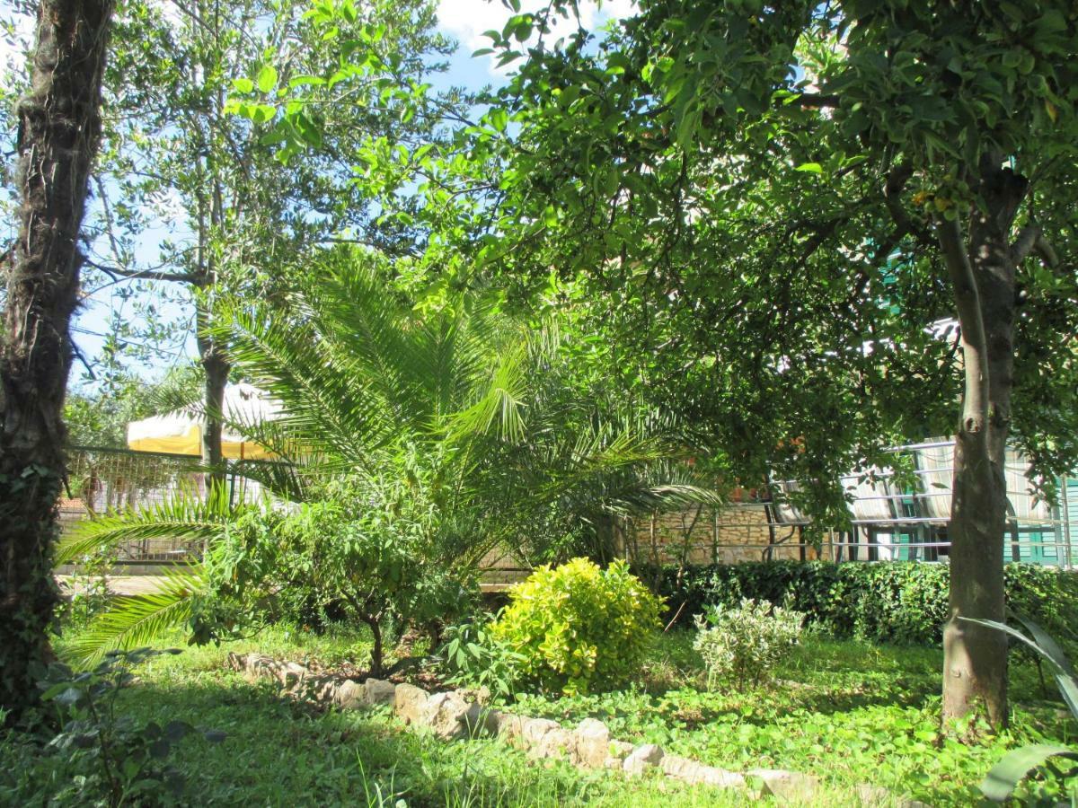 Lemon Tree Apartments ซาดาร์ ภายนอก รูปภาพ